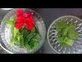 How to Use Neem Leaf for Hair Anti Dandruff Home Remedies Aloe Vera Mask Hibiscus for Hair Growth