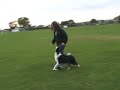 Tia Agility and Obedience 2005 Compilation