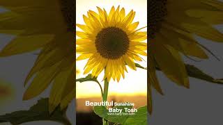 Beautiful Sunshine (EP mix) - baby Tosh