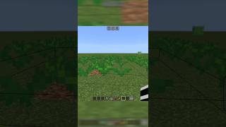 Minecraft Viral Hack P1