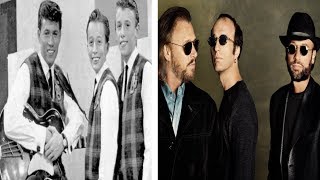 Watch Bee Gees Evolution video