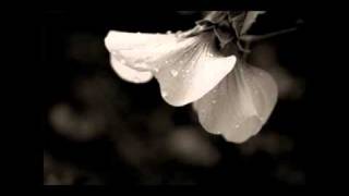 Watch Green Carnation Rain video