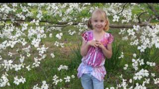 Springtime Set To Eva Cidys What A Wonderful World