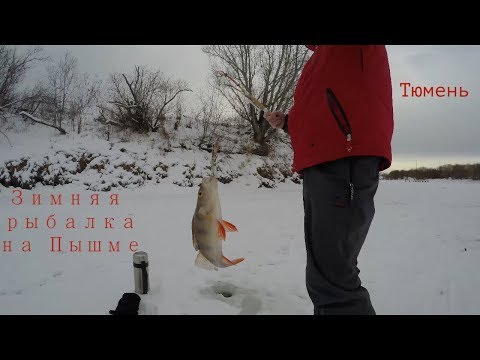 Рыбалка в тюмени 2018 Рыбалка в тюмени 2018
