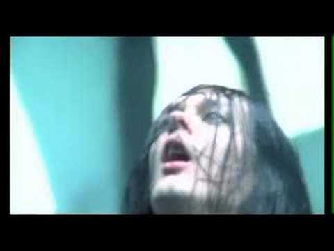 Where Would You Rather Be Video