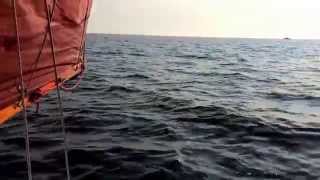 Baltic Summer: The Adventures of a Cape Cutter 19 in the Stockholm Archipelago
