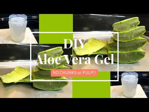 Homemade Aloe Vera Gel (NO CHUNKS!) | DIY | TheLifestyleLuxe - YouTube