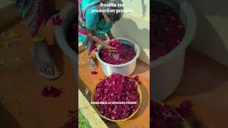Roselle Healthiest And Tastiest Natural Tea Production Process