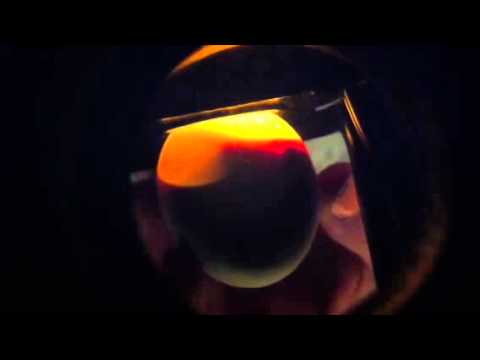 How To Build A Egg Candler And Read Eggs | How To Make & Do Everything