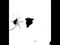 Quantifying Spider Behavior using MTrack2 plugin on ImageJ