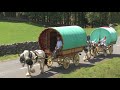 "Drive On Vanners" by Mark J. Barrett