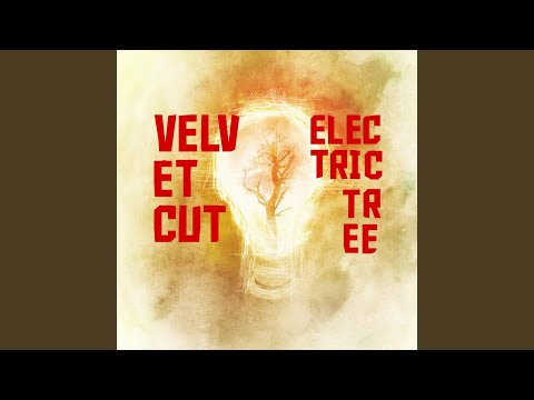 Climbing Up The Electric Tree Video