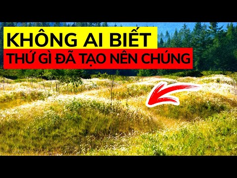 Bí Ẩn Mô Mima Chỉ Mới Được Làm Sáng Tỏ Một Nửa Sau 74 Năm