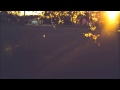 Africa Shine Video preview