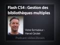 Adobe Flash CS4 : Gestions des bibliothèques multiples