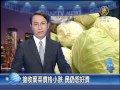 【台灣新聞】搶收葉菜價格小跌 民仍怨好貴