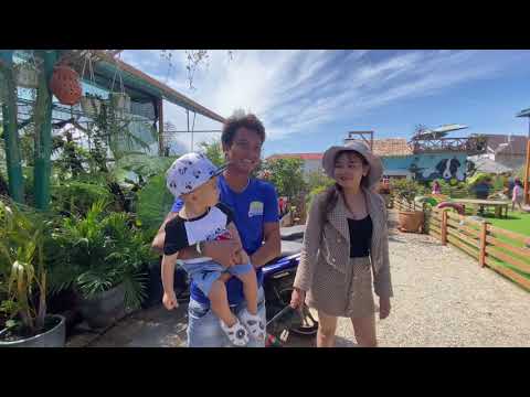 Hướng dẫn làm cà phê thú cưng