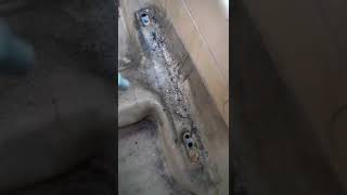 Car Wash Araba Yıkama