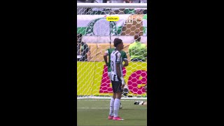 oGaAn1ZxPhU Video Image
