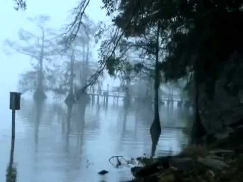 Petit Oiseau (Snowbird) Video