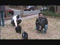 Jake Blues Bear Groove Anamorphic Gartman