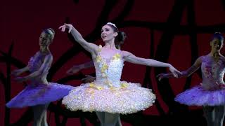 Dream Scene Don Quixote - Marianela Nunes - Royal Ballet