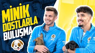 Altay ve Zajc'ın Minik Dostlarımızla Buluşması 🐶🤩 #Getir