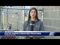 Exotic animals removed from Clermont County park