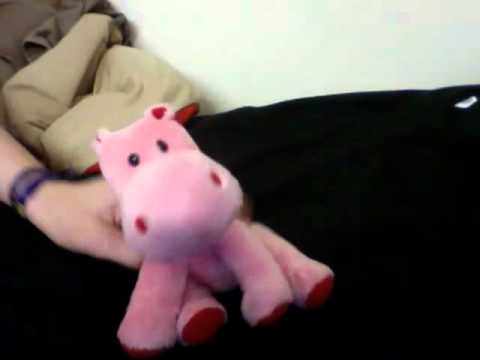 real pink hippo
