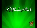 Sahibzada