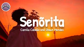 Senõrita - Camila Cabello and Shawn Mendes ( lyrical vedio)