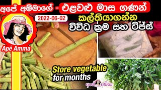 Store vegetable for months Apé Amma