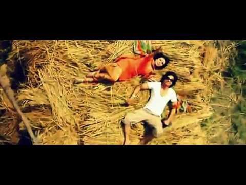 Ishq Hi Hai Rab Dil Bole Hadippa