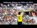 Defesas Fábio 2013 !