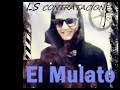Enamorado Video preview