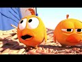 Pigeons - Cute animation cartoon
