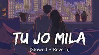 Tu Jo Mila [Slowed + Reverb] K.K. | Bajrangi Bhaijaan | Bollywood lofi song
