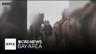 Sf Woman Arrested, Suspected Of Pulling Horses Tail During Youths Riding Lesson