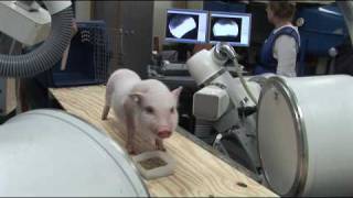 Xromm X-Ray Video Setup