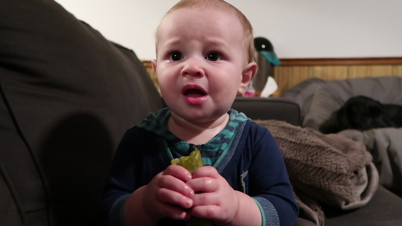 Baby Tries Pickle First Time, Doesn’t Like It But Can’t Stop Eating