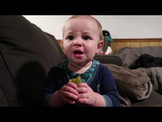 Baby Tries Pickle First Time, Doesn’t Like It But Can’t Stop Eating - Video