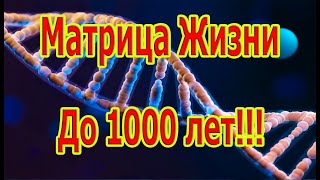 Самая Редкая И Мощная Матрица Жизнь До 1000 Лет!!!