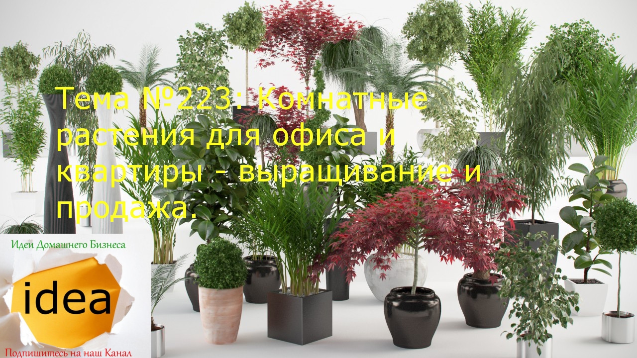 подбор обоев для гостиной двух цветов фото
