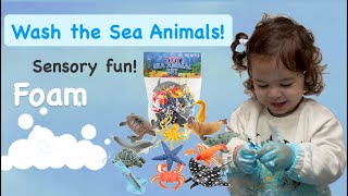 Washing Sea Animals Foam And Blue Water Play With Emily