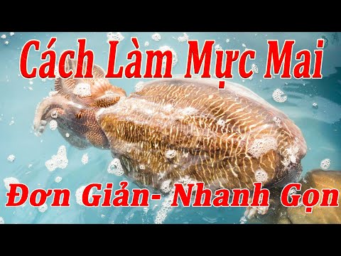 Cách làm chả mực quảng ninh