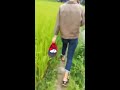 Watching video Tặng hoa cho gái xinh nhưng em bảo quay video em không nhận phải tắt đi em mới nhận cơ