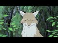 Wolf Children Ame And Yuki