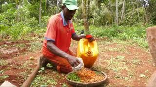 Matumizi Ya Dawa Za Asili Yatoa Matokeo Mazuri Kwa Wakulima Wa Kilimo Hai - Uwamwima
