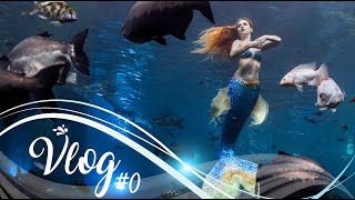 MERMAID VLOG #0 | C'est parti !