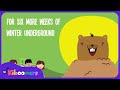 Groundhog Day |  I’m A Little Groundhog Day Song for Kids Wi...